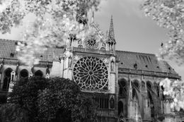 Notre Dame before the fire Black and White